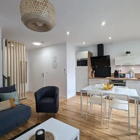 Duplex Des Volcans Le Cendre