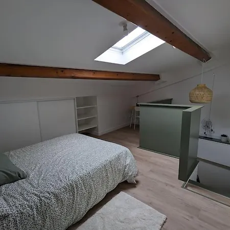 Duplex Des Volcans Appartamento Le Cendre