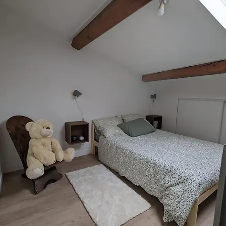 Appartamento Duplex Des Volcans Le Cendre